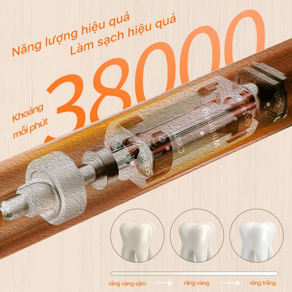 Bàn chải đánh răng điện Bomidi TX5 - Bản Quốc Tế