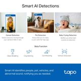 Camera IP Wifi trong nhà TP-LINK Tapo C220 4MP