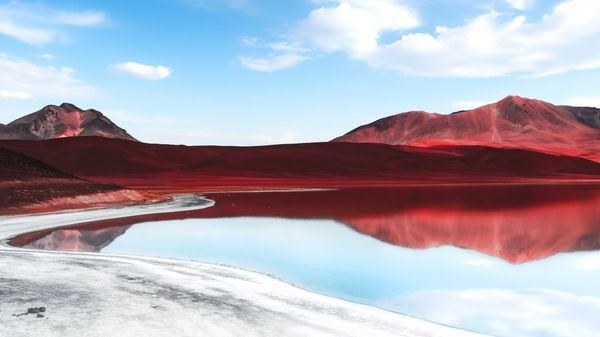 Tivi Xiaomi FHD 43 inch A43/ A55 Model 2025