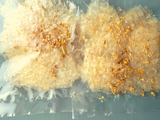 Bánh trộn muối dầu tỏi 