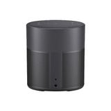  Loa Bose Home Speaker 300 