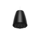  Loa Bose DesignMax DM6PE 