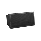  Loa Bose ArenaMatch AM20/100 