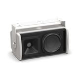  Loa Bose ArenaMatch Utility AMU105 