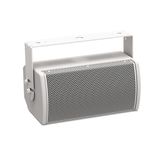  Loa Bose ArenaMatch Utility AMU105 