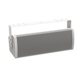  Loa Bose ArenaMatch Utility AMU206 
