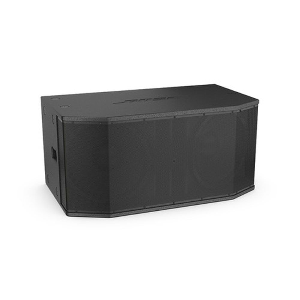  Loa Bose RoomMatch Array Subwoofer 2X15 