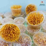  Rượu Đông Trùng Khang Tửu PEAVICO (500ml) - Món Quà Sức Khỏe Cao Cấp 