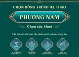  Viên Nhộng Đông Trùng Hạ Thảo Phương Nam - 1 hộp 60 viên 