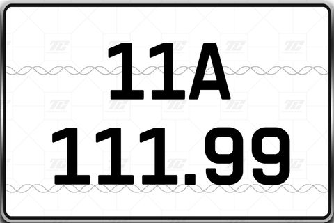  11A-111.99 