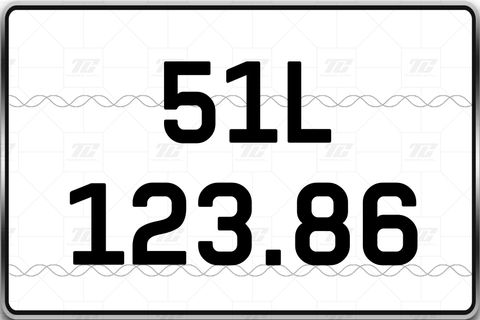  51L-123.86 