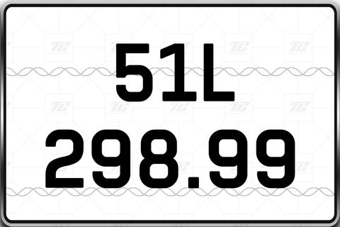  51L-298.99 