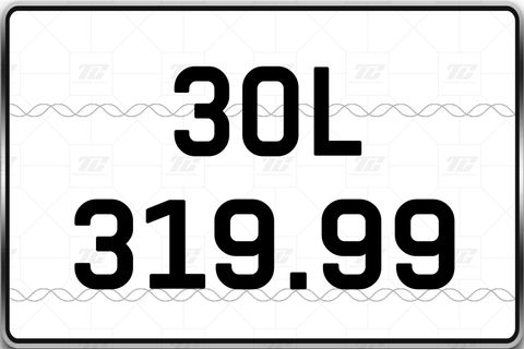  30L-319.99 