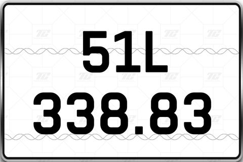  51L-338.83 