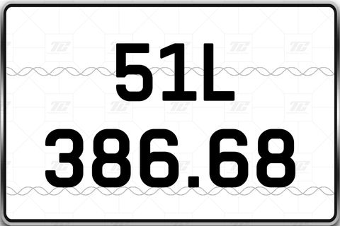  51L-386.68 