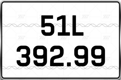  51L-392.99 