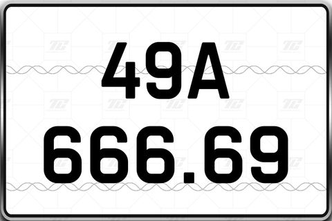 49A-666.69 