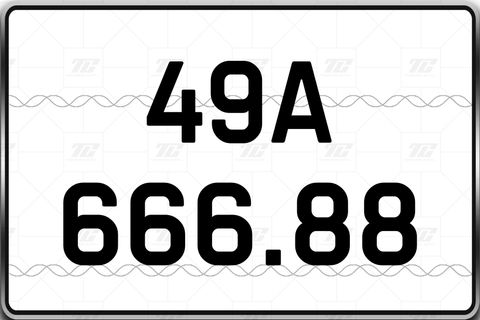  49A-666.88 