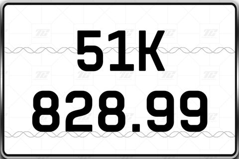  51K-828.99 