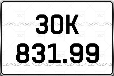  30K-831.99 