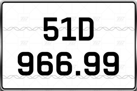  51D 966.99 