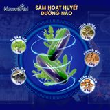 SSV004 - NEUROSAM (Sâm hoạt huyết dưỡng não) - Combo 4 lọ