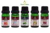 C1051 Combo Tinh Dầu Dùng Máy Peace Mass 10ml Cảm Hứng Sáng Tạo + Thanh Lọc Không Khí + Bạc Hà + Miền Nhiệt Đới + Giấc Ngủ Ngọt Ngào