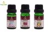 C1032 Combo Tinh Dầu Dùng Máy Peace Mass 10ml Thanh Lọc Không Khí + Giấc Ngủ Ngọt Ngào + Miền Nhiệt Đới