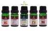 C1054 Combo Tinh Dầu Dùng Máy Peace Mass 10ml Cảm Hứng Sáng Tạo + Thanh Lọc Không Khí + Sả Chanh + Miền Nhiệt Đới + Giấc Ngủ Ngọt Ngào