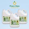 RCB3 Combo 03 Sản Phẩm Gốc Thực Vật Peace Mass Nước Rửa Chén 3.6 lít