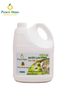 Nước Lau Kính Gốc Thực Vật Tinh dầu Bạc hà Peace Mass Can 3.6l (Thuộc nhóm Sản phẩm Lành tính / Hữu cơ)