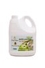 Nước Lau Kính Gốc Thực Vật Tinh dầu Bạc hà Peace Mass Can 3.6l (Thuộc nhóm Sản phẩm Lành tính / Hữu cơ)