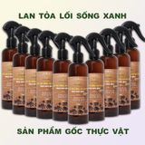  LBT3 Combo 10 Nước Tắm Tượng & Lau Bàn Thờ Gốc Thực Vật Peace Mass Tinh dầu Quế 250ml 