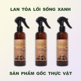  LBT1 Combo 3 Nước Tắm Tượng & Lau Bàn Thờ Gốc Thực Vật Peace Mass Tinh Dầu Quế 250ml 