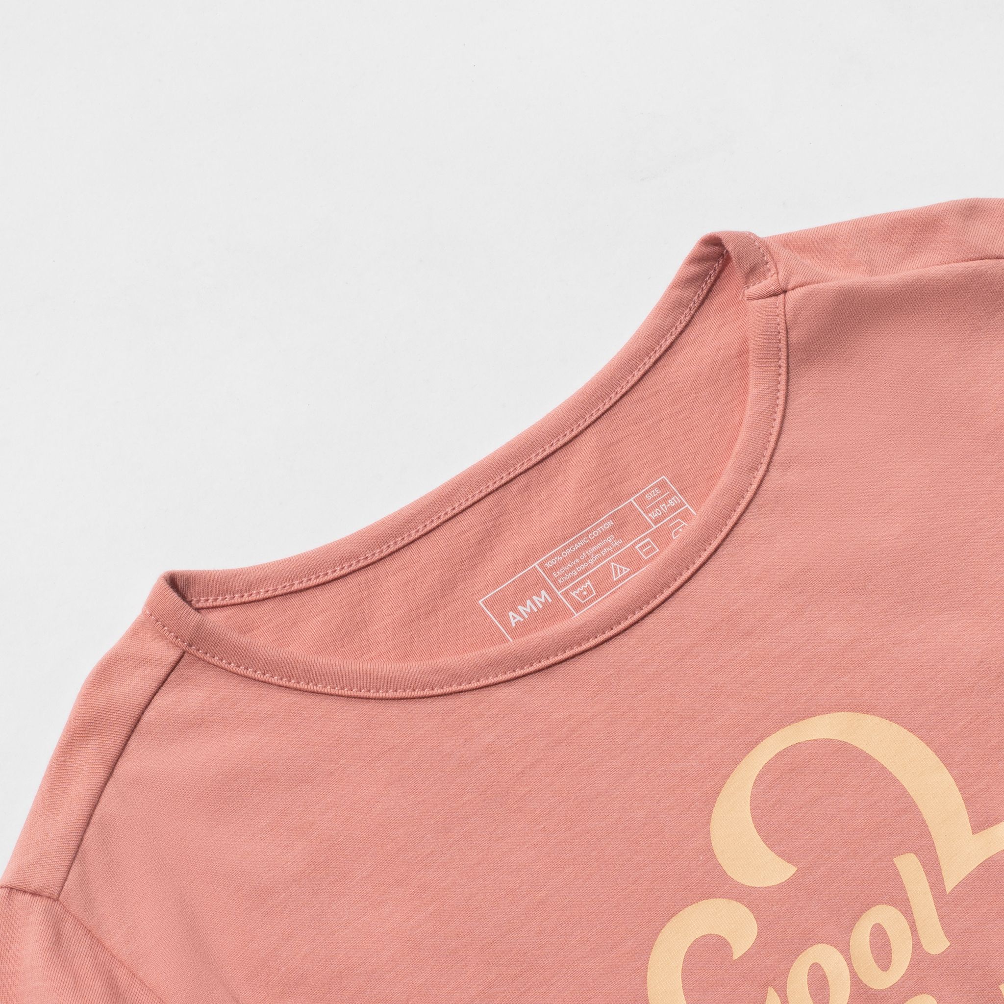  Áo t shirt bé gái hình kem 