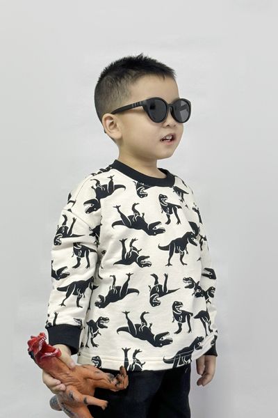  Áo nỉ bé trai họa tiết dáng cơ bản 