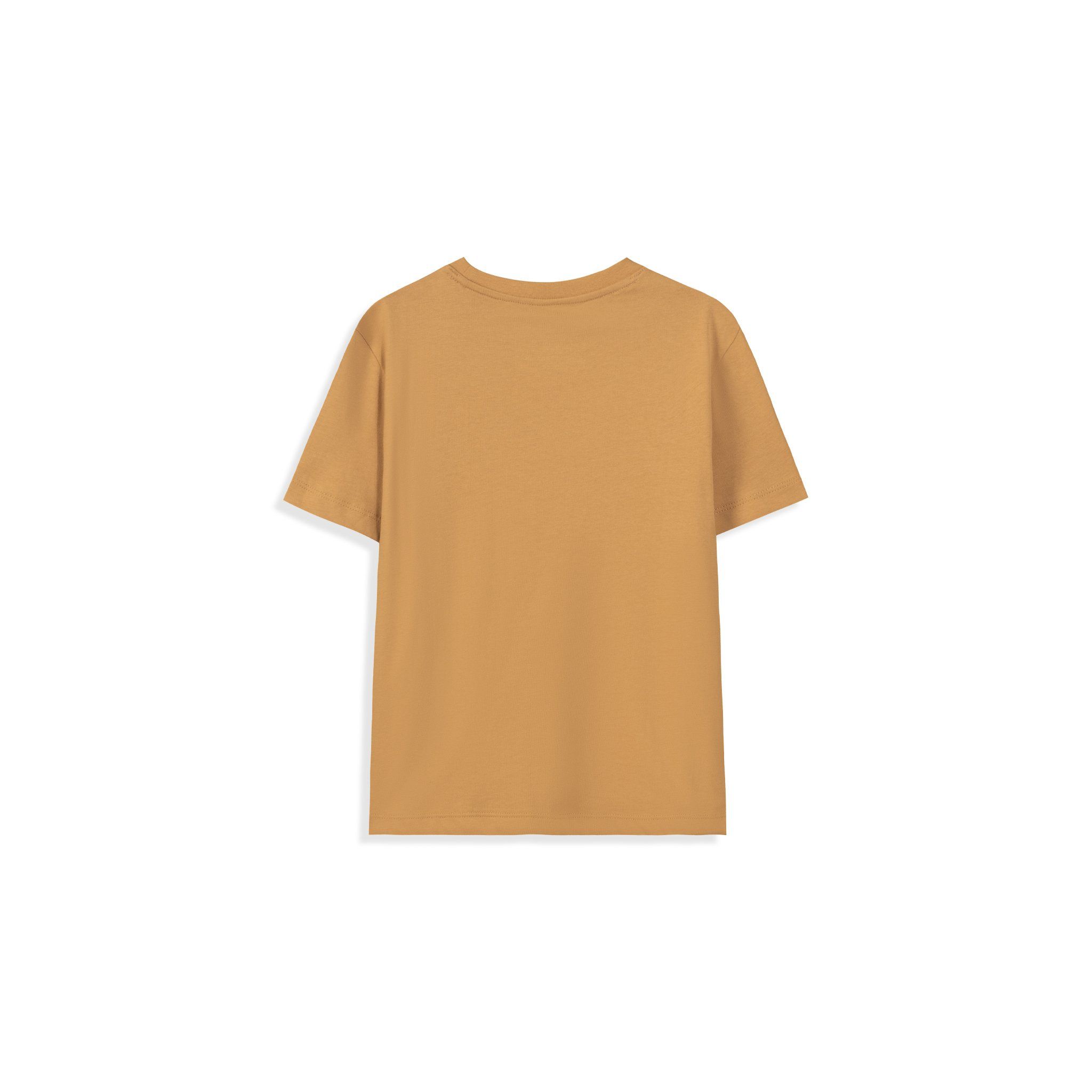  Áo t shirt trẻ em hình máy bay 