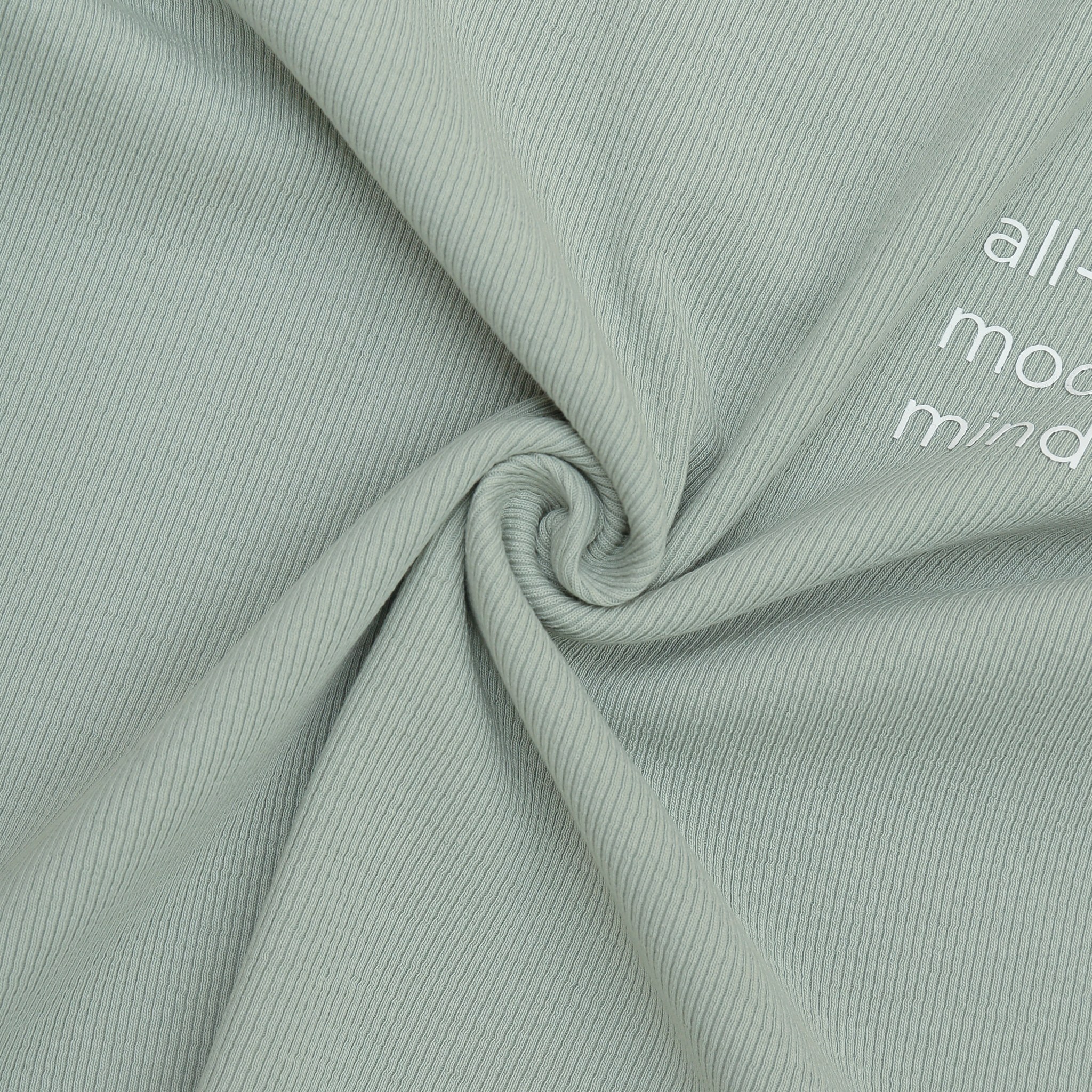 Áo phông ngắn tay nữ vải rib in logo – ammofficial