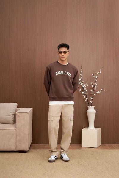  Áo nỉ chui đầu nam in logo 