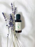  Tinh dầu nguyên chất Lavender 