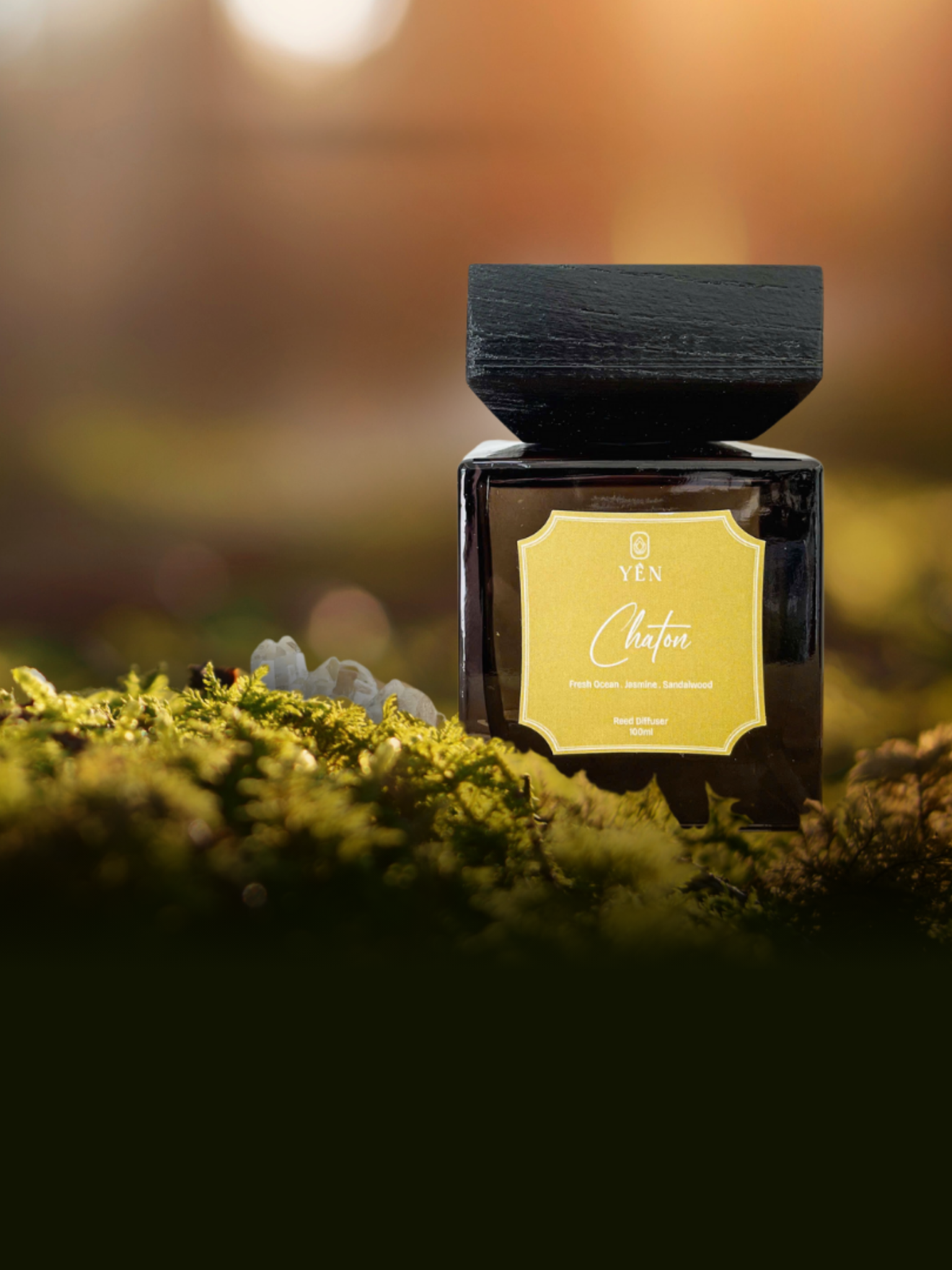  Tinh dầu khuếch tán Chaton 100ml 