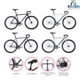  Xe Fixed Gear Magicbros CX5 Khung thép 2024 