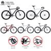  Xe đạp Fixed Gear Magicbros CX6 khung nhôm càng thép 