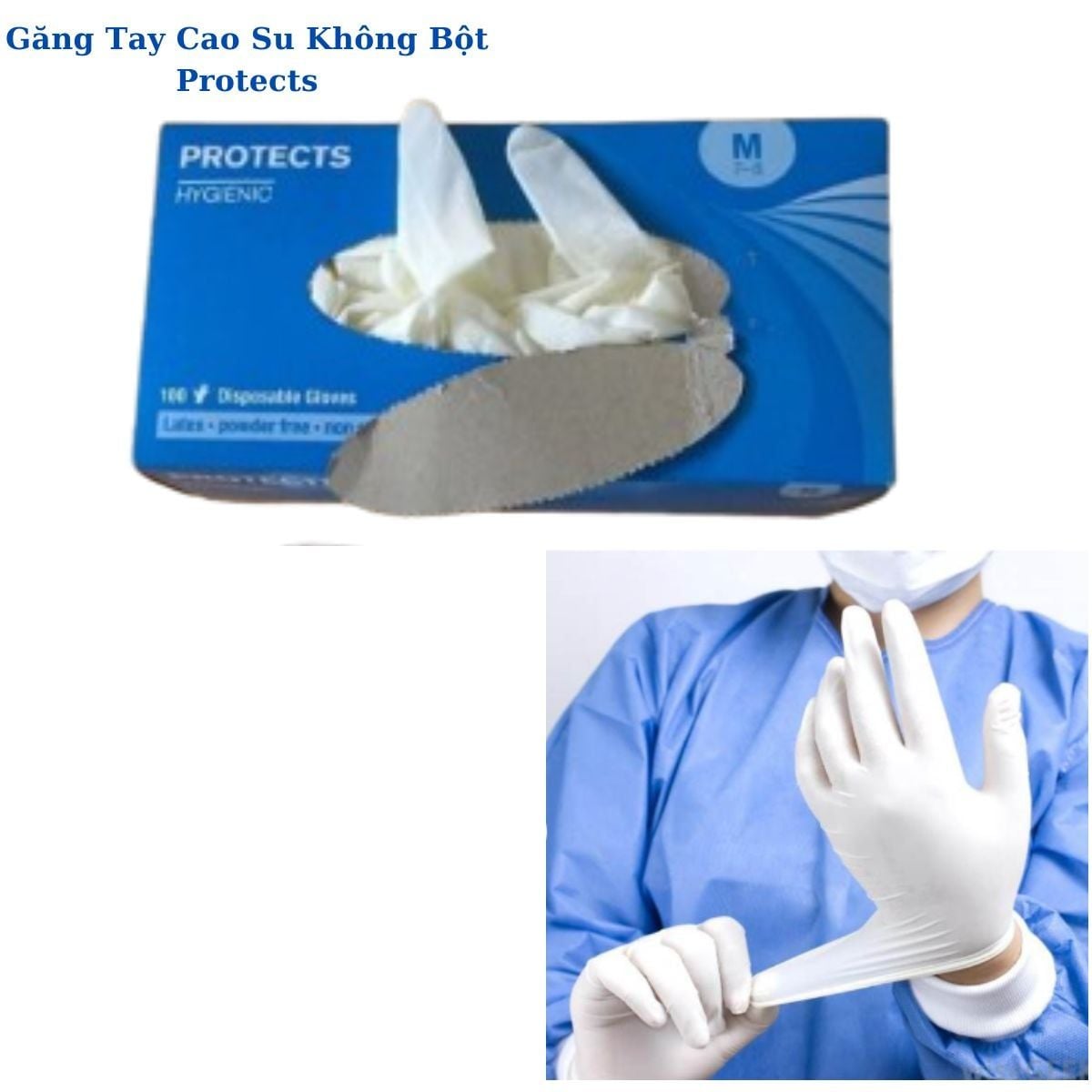Găng Tay Cao Su Không Bột Protects Chính Hãng Giá Rẻ