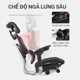  Ghế Lãnh Đạo Công Thái Học Ergoup FLY PRO - Phiên Bản Đặc Biệt 