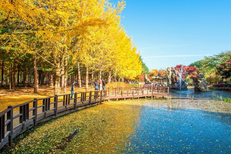 HÀ NỘI – SEOUL – NAMI – CÔNG VIÊN YEOUIDO – EVERLAND