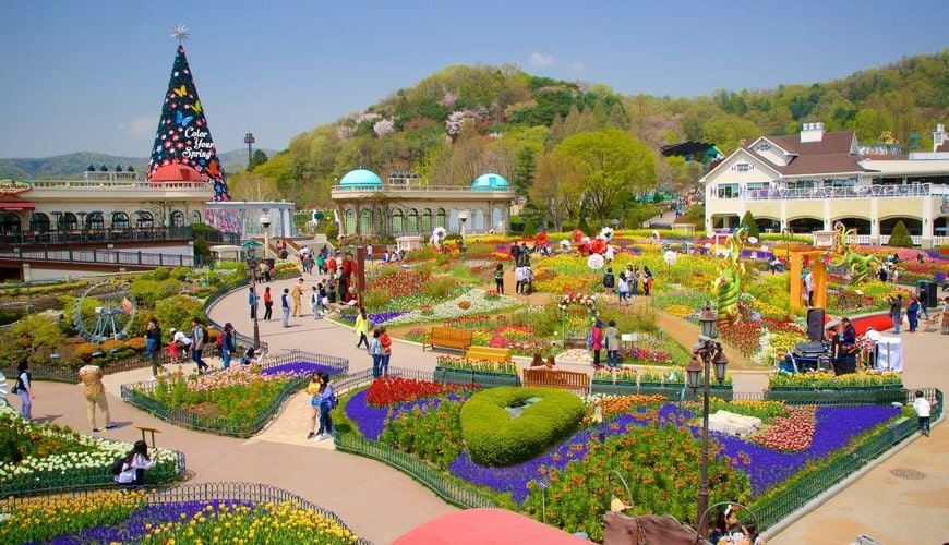 HÀ NỘI – SEOUL – NAMI – CÔNG VIÊN YEOUIDO – EVERLAND