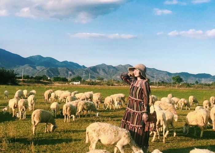 Tour Du Lịch Nha Trang – Ninh Thuận 4 Ngày 3 Đêm