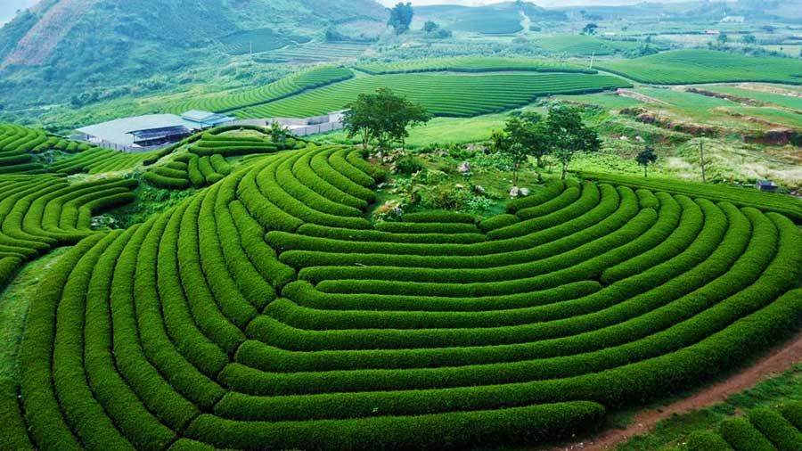 VÒNG CUNG TÂY BẮC