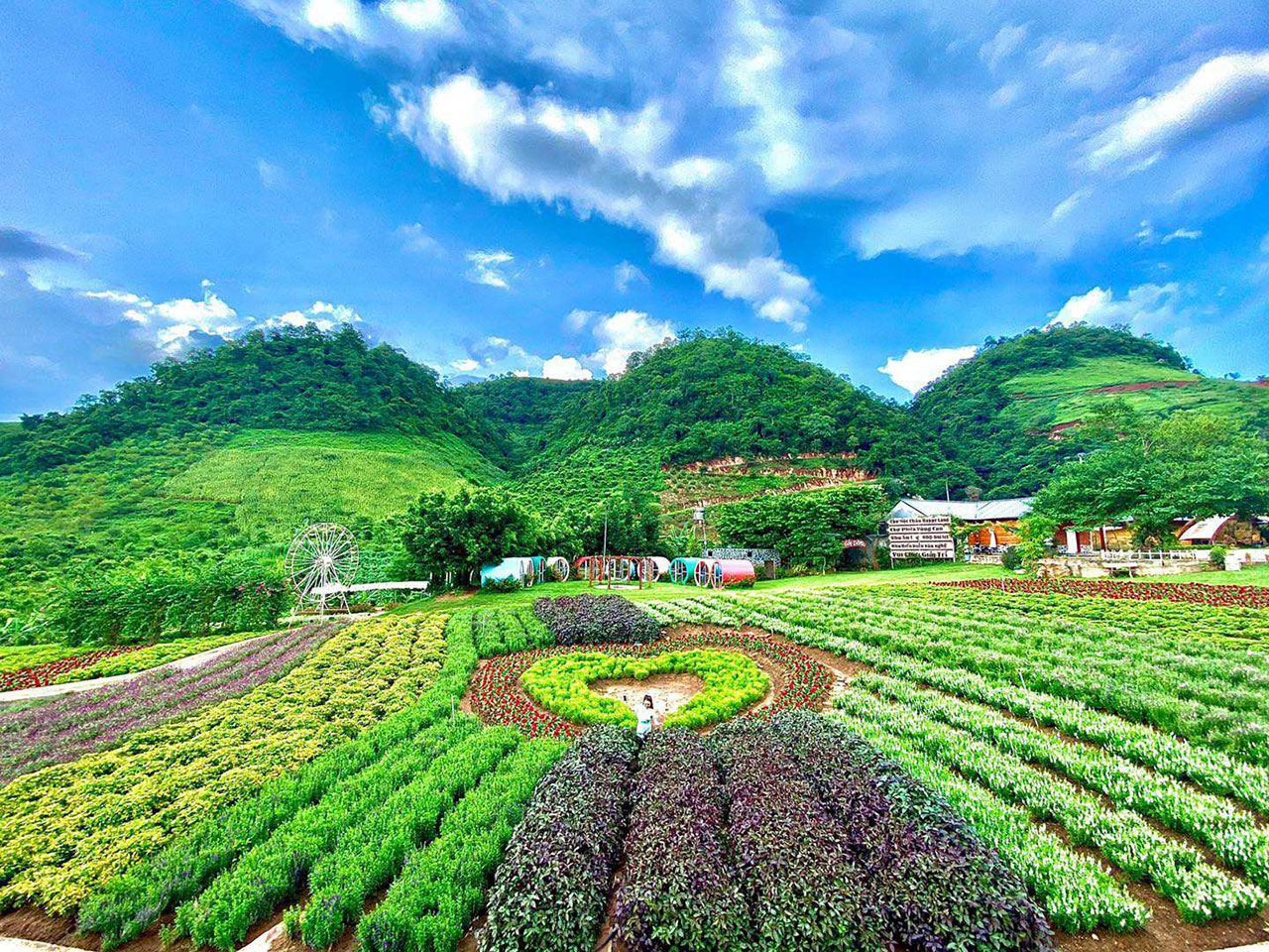 HÀ NỘI - MỘC CHÂU - CẦU KÍNH BẠCH LONG - HÀ NỘI